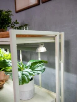 Oslo 2-Tier LED Grow Light Garden, 2 Fixtures 18 Oslo 2-Tier LED Grow Light Garden, 2 Fixtures -Outdoor Garden Store 8609221 4101 tif