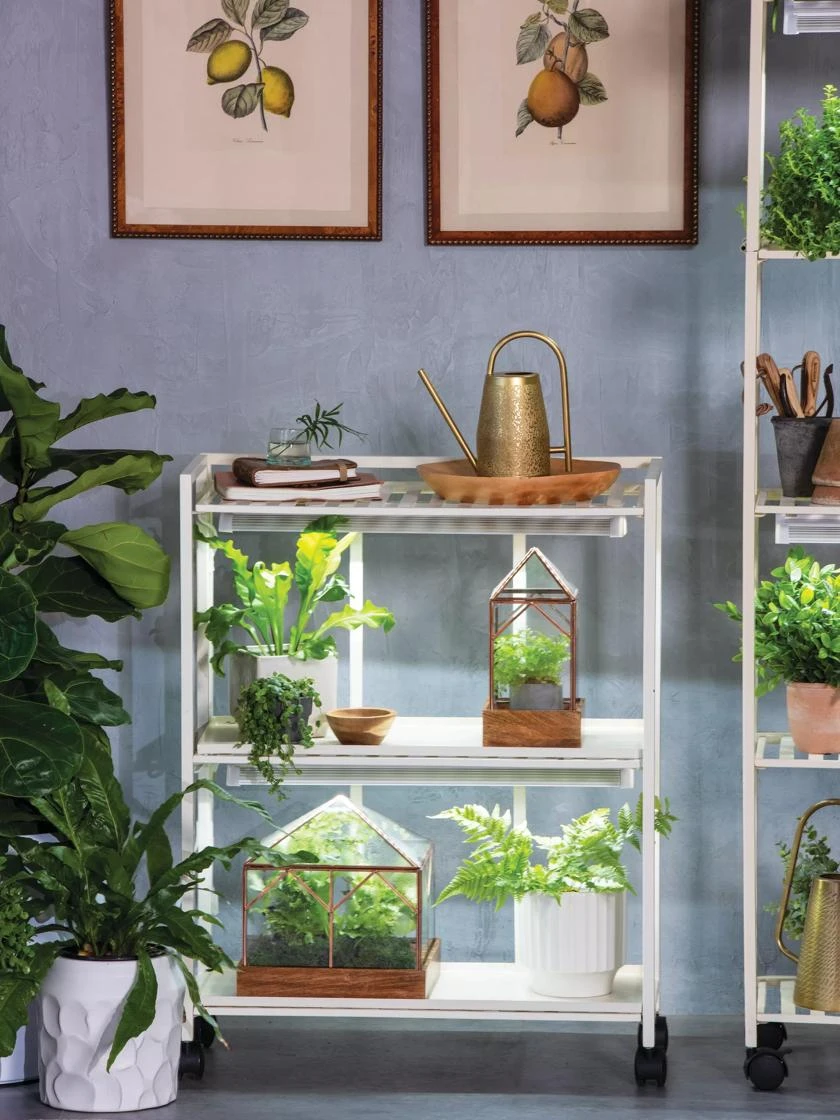 Oslo 2-Tier LED Grow Light Garden, 2 Fixtures 3 Oslo 2-Tier LED Grow Light Garden, 2 Fixtures