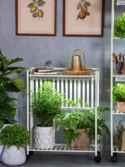 Oslo 2-Tier LED Grow Light Garden, 2 Fixtures 21 Oslo 2-Tier LED Grow Light Garden, 2 Fixtures -Outdoor Garden Store 8609221 7236 tif