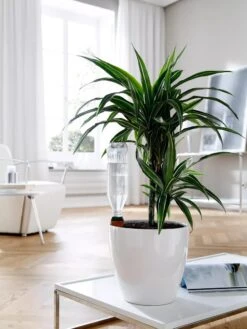 Hydro Wine Container Watering System, Set Of 4 -Outdoor Garden Store 8609224 02V tif