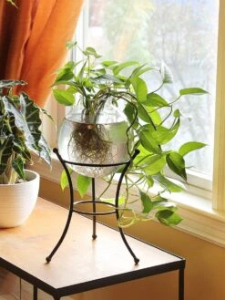 Achla Designs Multi Use Stand -Outdoor Garden Store 8609343 01v achla designs multi use stand