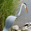 Florida Dancing Birds®, Great Blue Heron -Outdoor Garden Store 8609451 02V jpg