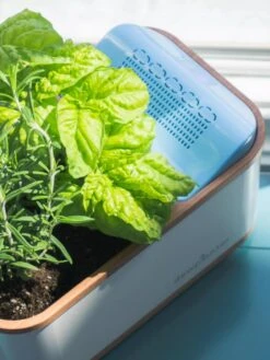 Dewplanter 10 Dewplanter -Outdoor Garden Store 8609512 04V