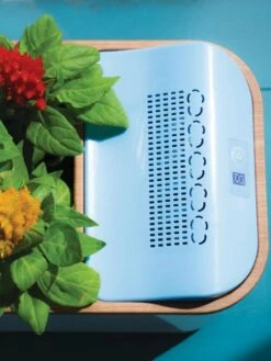 Dewplanter 9 Dewplanter -Outdoor Garden Store 8609512 Dewplanter