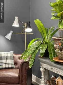 Adjustable 3-Arm Grow Lamp 15 Adjustable 3-Arm Grow Lamp -Outdoor Garden Store 8609868 01IN tif