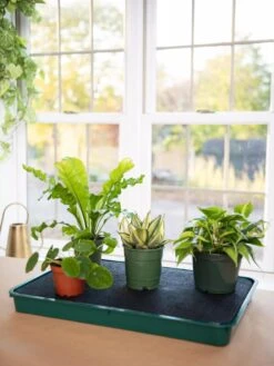 Self-Watering Tray -Outdoor Garden Store 8609872 9021 tif
