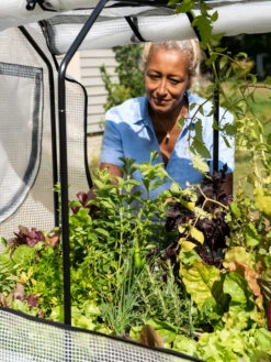 VegTrug®Patio Garden Greenhouse Cover Kit -Outdoor Garden Store 8610172 1256