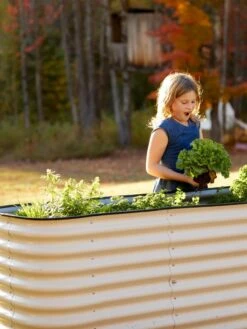 Birdies™ Modular Metal Raised Bed, Tall -Outdoor Garden Store 8610174 5015 tif