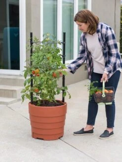 Gardener’s Victory Self-Watering Planter Garden Kit 12 Gardener’s Victory Self-Watering Planter Garden Kit -Outdoor Garden Store 8610239 06002 tif