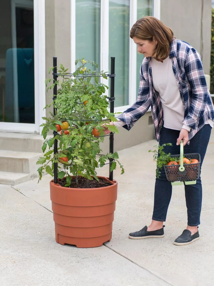 Gardener’s Victory Self-Watering Planter Garden Kit 6 Gardener’s Victory Self-Watering Planter Garden Kit - Image 4