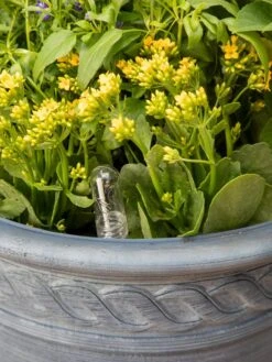 Adjustable Self-Watering Insert For Pots And Planters -Outdoor Garden Store 8610250 0010 tif