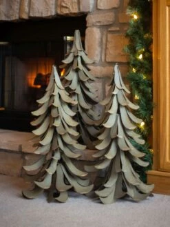 Desert Steel Blue Atlas Cedar -Outdoor Garden Store 8610550 05v