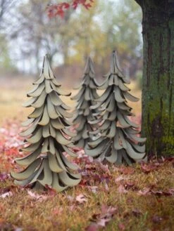 Desert Steel Blue Atlas Cedar -Outdoor Garden Store 8610550 07v