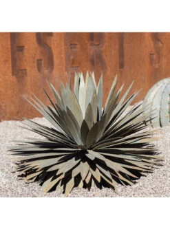Desert Steel Yucca Plant Sculpture -Outdoor Garden Store 8610744 02v