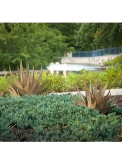 Desert Steel Sharkskin Agave Sculpture 11 Desert Steel Sharkskin Agave Sculpture -Outdoor Garden Store 8610753 05v