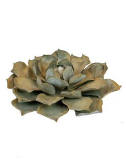 Desert Steel Blue Rose Succulent Sculpture -Outdoor Garden Store 8610763 01v desert steel blue rose succulent small
