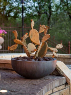Desert Steel Prickly Pear Cactus Sculpture, Redondo -Outdoor Garden Store 8610768 03v