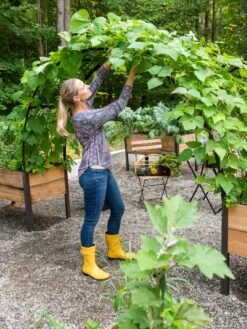 2’ X 8’ Arch Trellis For Planter Boxes -Outdoor Garden Store 8610798 050 tif