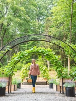 2’ X 8’ Arch Trellis For Planter Boxes -Outdoor Garden Store 8610798 071 tif