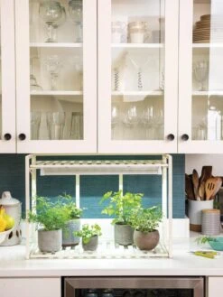 New Release 22 Oslo 1-Tier LED Grow Light Garden