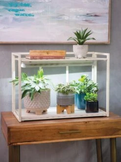 New Release -Outdoor Garden Store 8611002 2000 tif