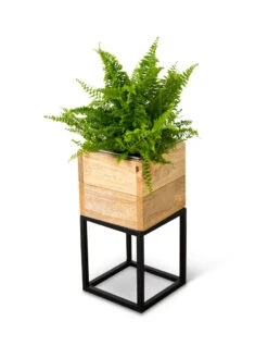 Tartu Elevated Square Planters 19 Tartu Elevated Square Planters -Outdoor Garden Store 8611004 038