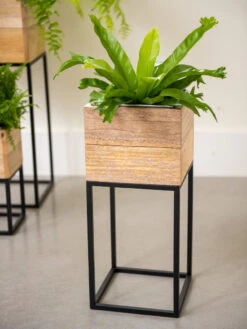 Tartu Elevated Square Planters 15 Tartu Elevated Square Planters -Outdoor Garden Store 8611005 035