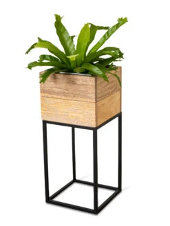 Tartu Elevated Square Planters 20 Tartu Elevated Square Planters -Outdoor Garden Store 8611005 036