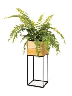 Tartu Elevated Square Planters 18 Tartu Elevated Square Planters -Outdoor Garden Store 8611006 033