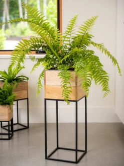 Tartu Elevated Square Planters 14 Tartu Elevated Square Planters -Outdoor Garden Store 8611006 034