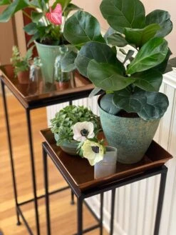 Square Nesting Plant Stands With Trays, Set Of 2 -Outdoor Garden Store 8611014 3651 tif