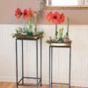 Square Nesting Plant Stands With Trays, Set Of 2 -Outdoor Garden Store 8611014 3660 tif