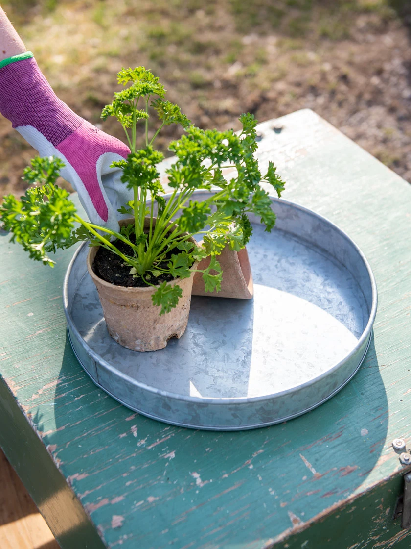 Galvanized Tray Round, 11" 3 Galvanized Tray Round, 11"