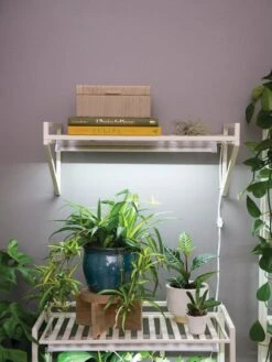 Oslo LED Grow Light Wall Shelf -Outdoor Garden Store 8611516 8400 tif