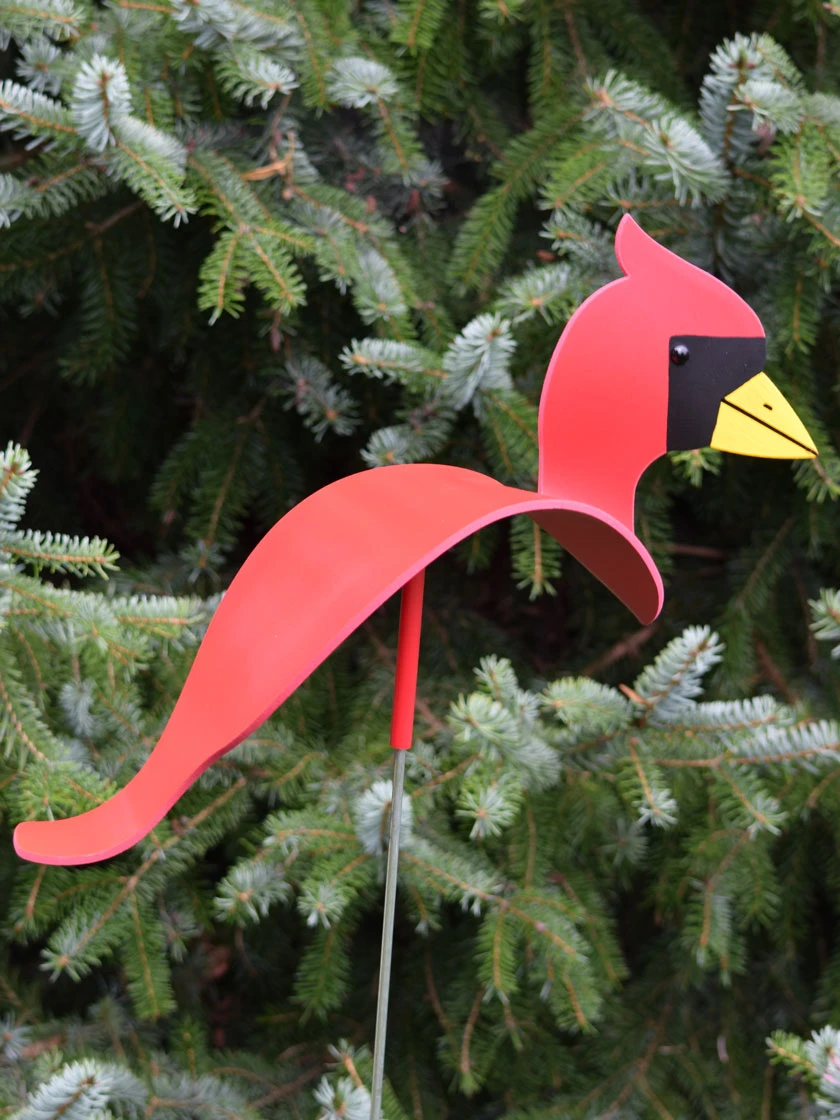 Florida Dancing Birds®, Songbirds 4 Florida Dancing Birds®, Songbirds - Image 2