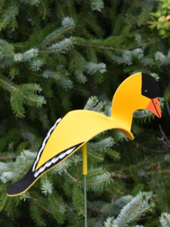 Florida Dancing Birds®, Songbirds 9 Florida Dancing Birds®, Songbirds -Outdoor Garden Store 8611629 04v