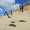 Florida Dancing Birds®, Canada Goose