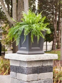 Fairfield Self-Watering Square Planter, 16” X 16” -Outdoor Garden Store 8611695 06V tif
