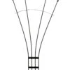 Achla Fan Trellis, 56" -Outdoor Garden Store 8611788 01v achla fan trellis 56 inch graphite powder coated wrought iron