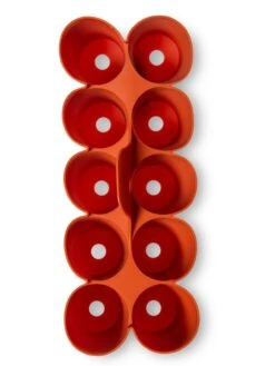 Sili-Seedlings® Seedling Tray, 10-Cell 12 Sili-Seedlings® Seedling Tray, 10-Cell -Outdoor Garden Store 8611886 3821 tif