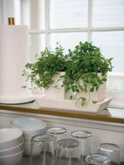 Stoneware Self-Watering Windowsill Planters, Set Of 2 -Outdoor Garden Store 8611890 2285 tif