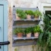 VegTrug® Herb Rack 2 VegTrug® Herb Rack -Outdoor Garden Store 8611930 6402 tif