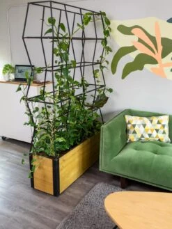 Self-Watering Partition Planter -Outdoor Garden Store 8611952 001 tif