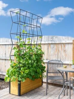 Self-Watering Partition Planter -Outdoor Garden Store 8611952 4825 tif