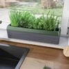 Provence Self-Watering Herb Planter -Outdoor Garden Store 8611965 01V tif