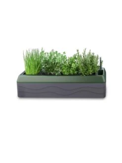 Provence Self-Watering Herb Planter -Outdoor Garden Store 8611965 03V tif