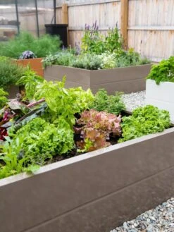 Somerset Metal Raised Beds, As Is 21 Somerset Metal Raised Beds, As Is -Outdoor Garden Store 8612020 002 tif