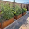 Nice Corten Trough Planters With Trellis 1 Nice Corten Trough Planters With Trellis -Outdoor Garden Store 8612390 02V jpg