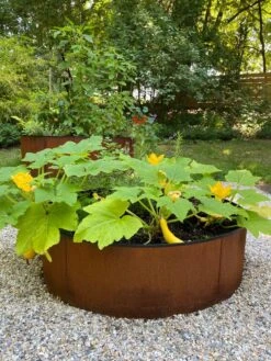 Birdies™ Corten Steel Round Raised Beds -Outdoor Garden Store 8612422 0484 tif