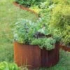 Birdies™ Corten Steel Round Raised Beds -Outdoor Garden Store 8612423 1537 tif